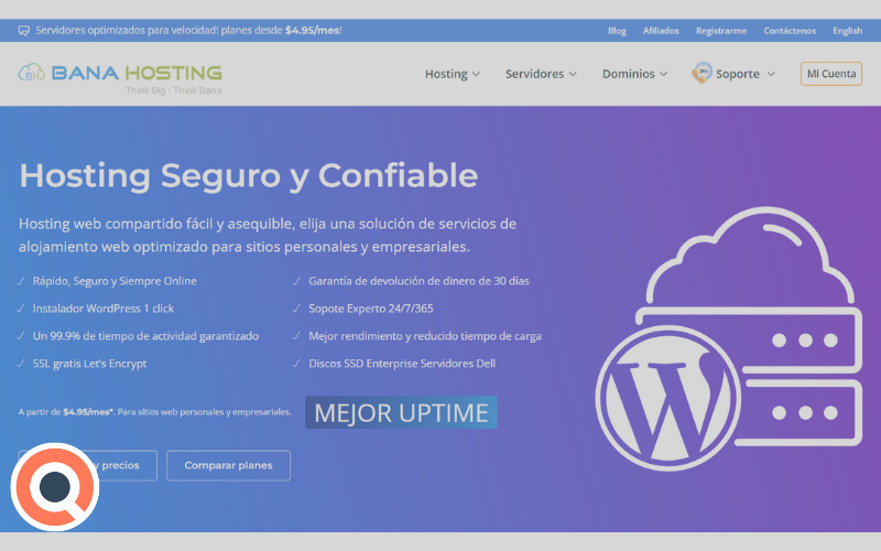 banahosting opiniones